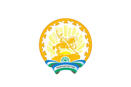 МС РБ